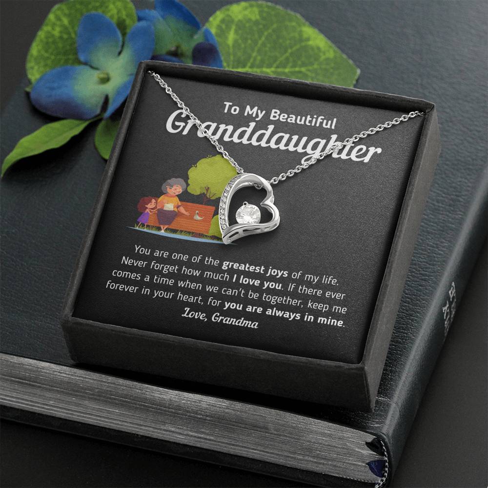 Gift for Granddaughter From Grandma "Keep Me Forever In Your Heart" Necklace Jewelry