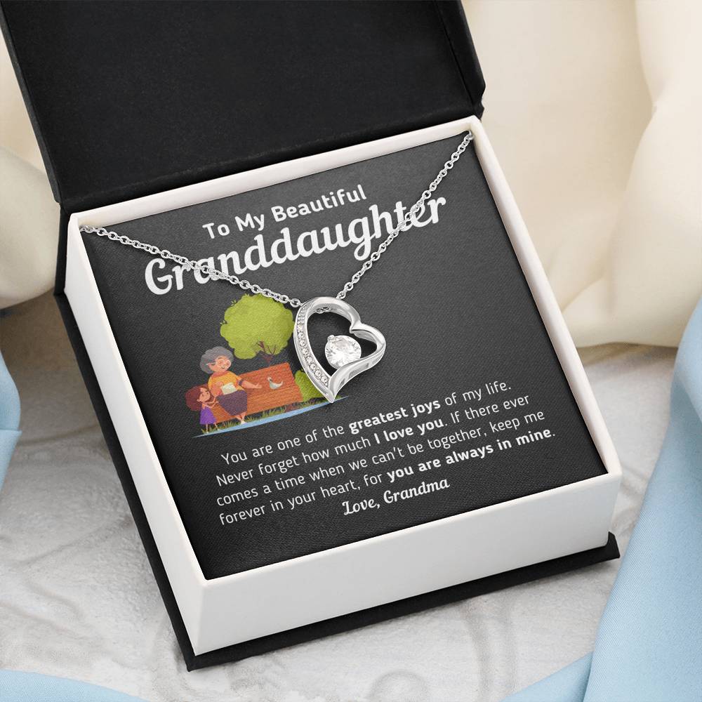 Gift for Granddaughter From Grandma "Keep Me Forever In Your Heart" Necklace Jewelry