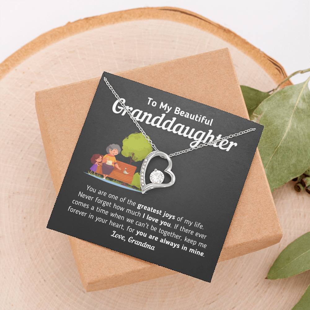 Gift for Granddaughter From Grandma "Keep Me Forever In Your Heart" Necklace Jewelry