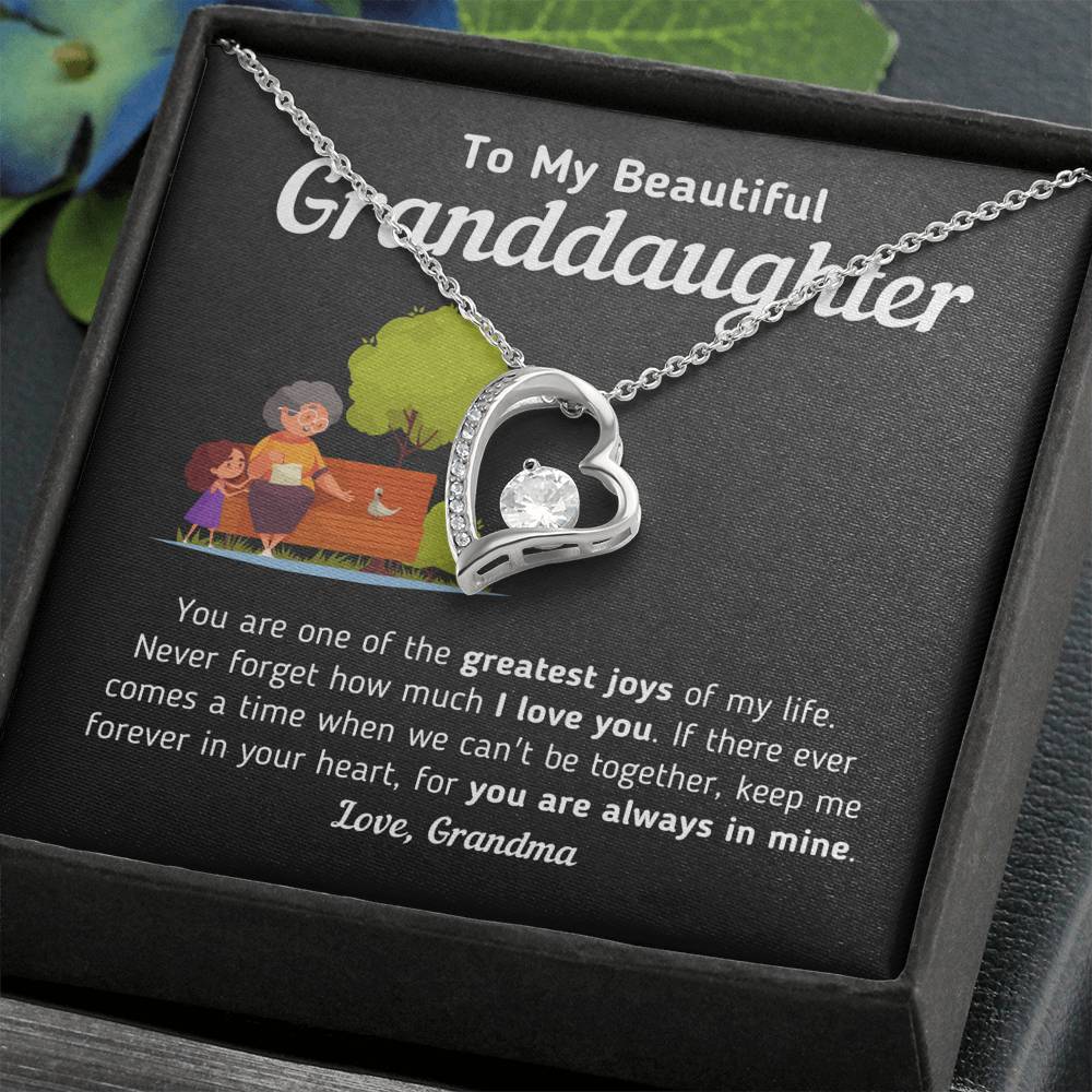 Gift for Granddaughter From Grandma "Keep Me Forever In Your Heart" Necklace Jewelry Two-Toned Gift Box