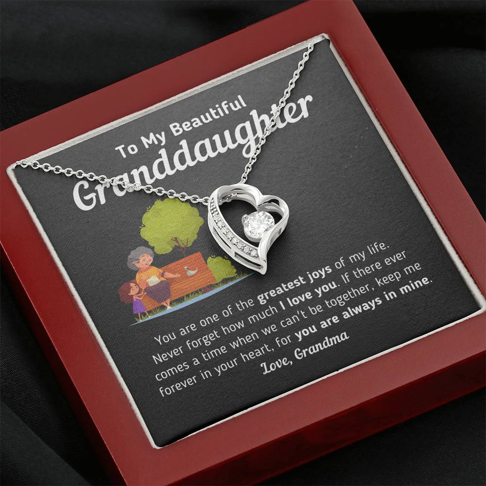 Gift for Granddaughter From Grandma "Keep Me Forever In Your Heart" Necklace Jewelry