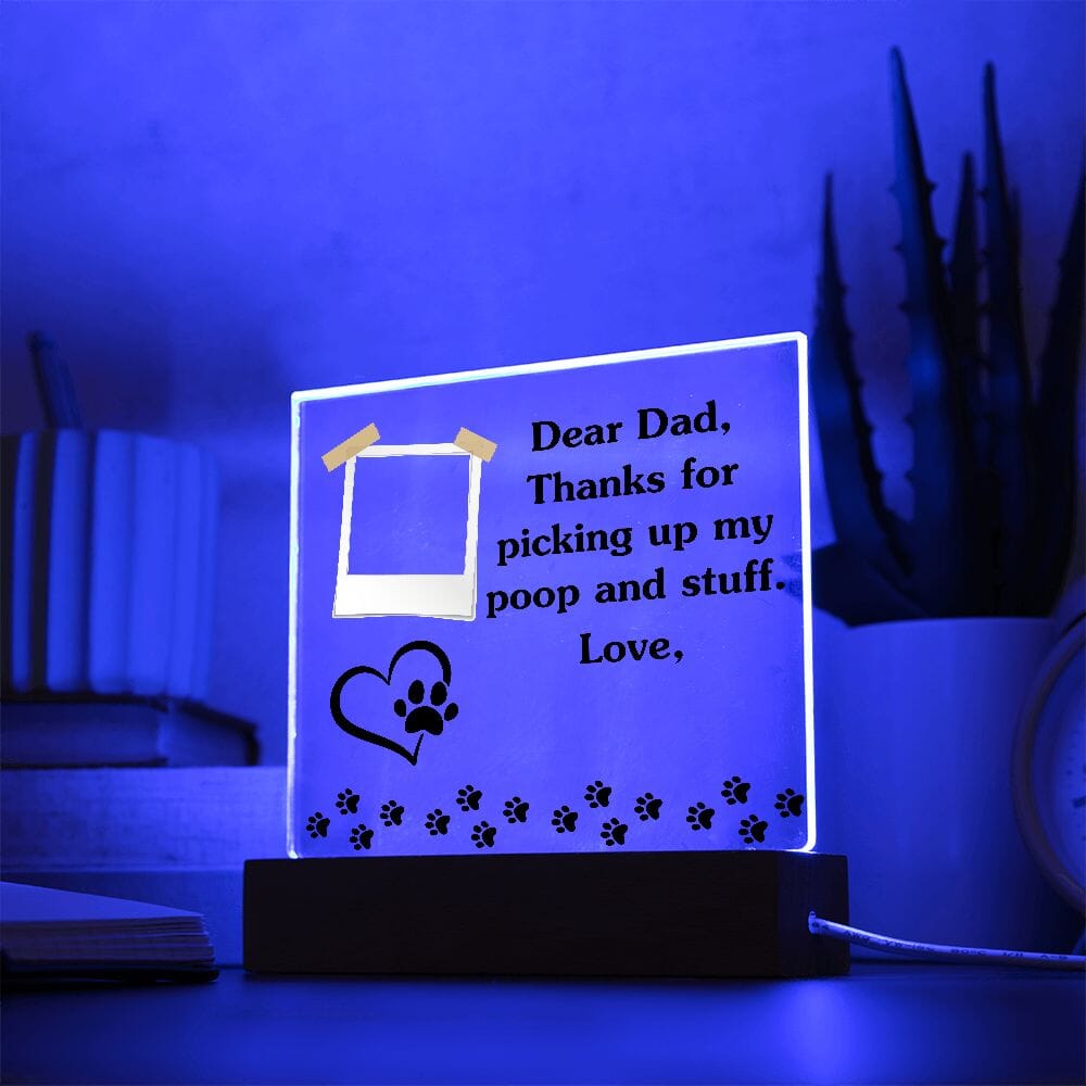 Funny Dear Dog Dad Acrylic Plaque Jewelry Acrylic Square with LED Base 