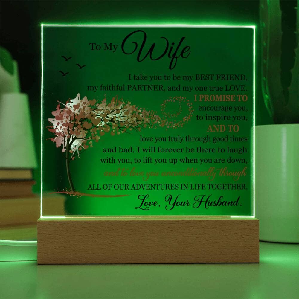 Gift for Wife from Husband "I Take You To Be My Best Friend" Acrylic Plaque Jewelry 