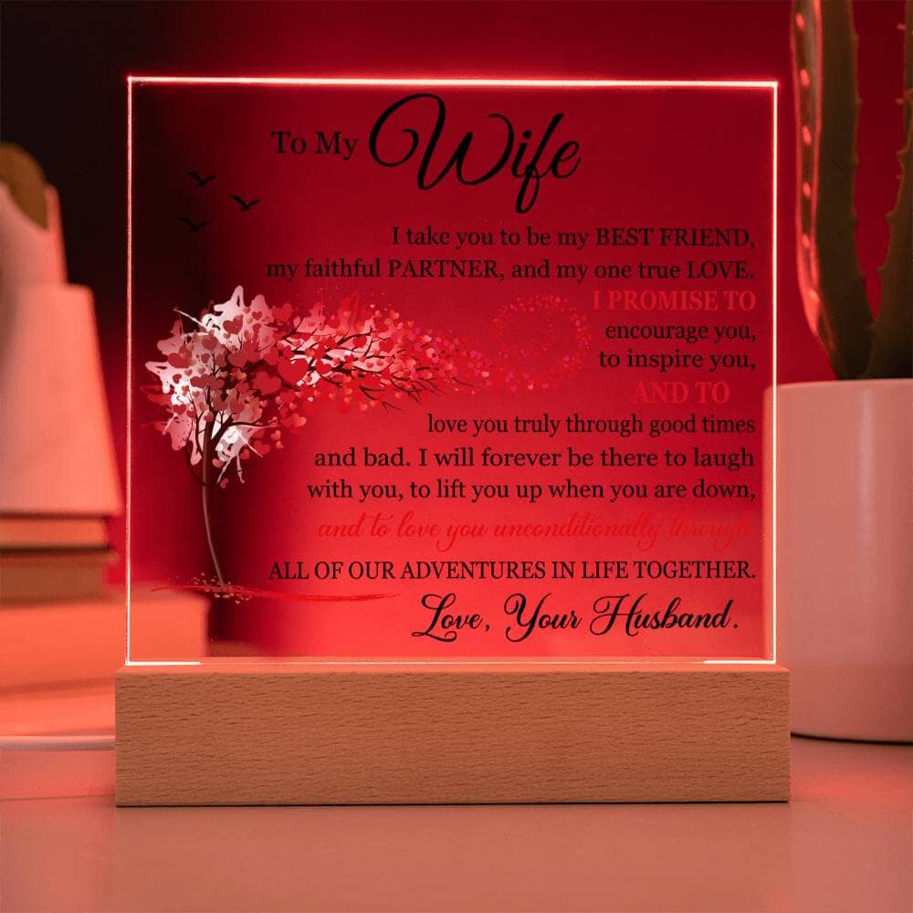 Gift for Wife from Husband "I Take You To Be My Best Friend" Acrylic Plaque Jewelry 
