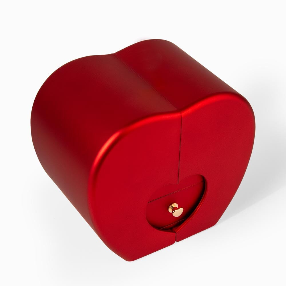 Unique Gift For Wife "I'm So Proud Of The Amazing Woman You Are" Necklace With Heart Box and Red Rose Surprise Jewelry 
