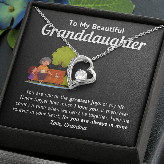 Gift for Granddaughter From Grandma "Keep Me Forever In Your Heart" Necklace Jewelry Two-Toned Gift Box 