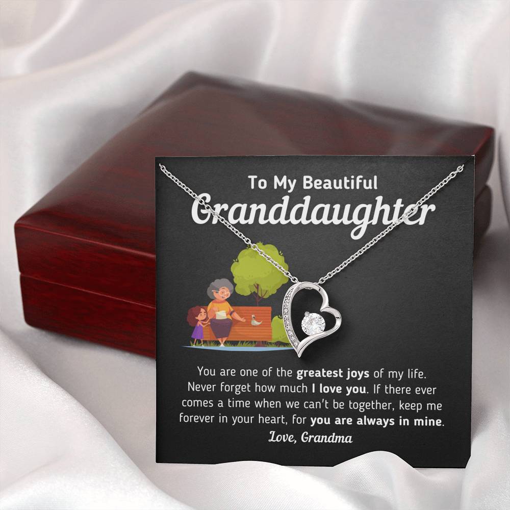 Gift for Granddaughter From Grandma "Keep Me Forever In Your Heart" Necklace Jewelry 