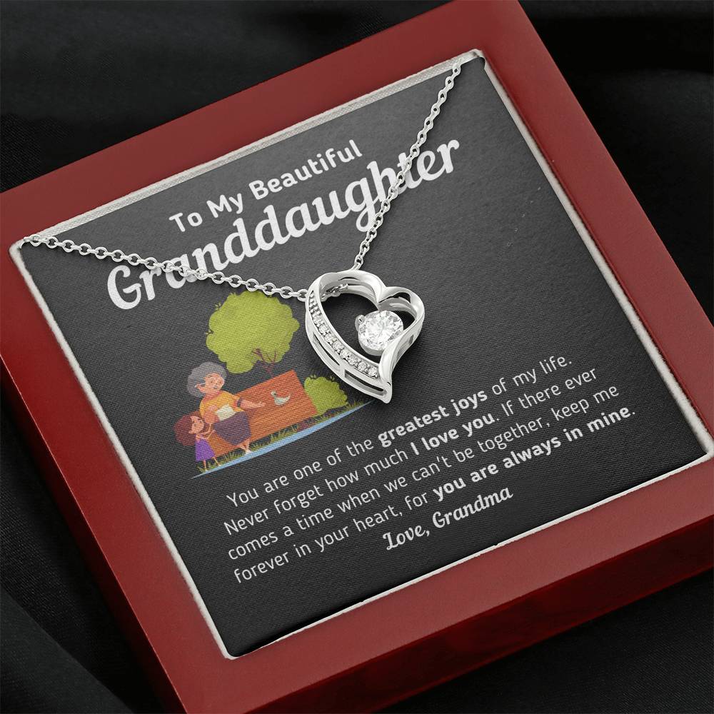 Gift for Granddaughter From Grandma "Keep Me Forever In Your Heart" Necklace Jewelry 