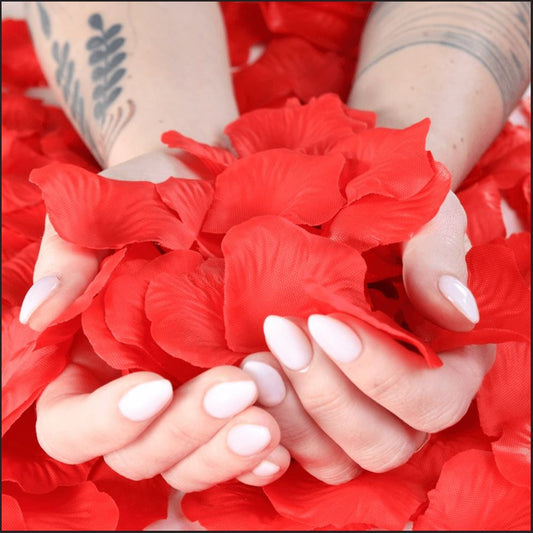 Romantic Rose Petals Jewelry