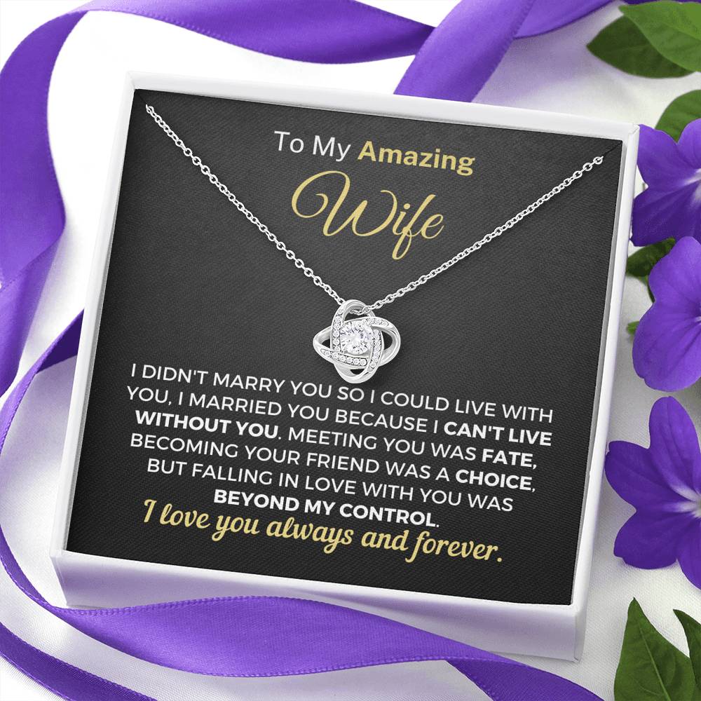 To My Amazing Wife - I Can't Live Without You Necklace Jewelry 