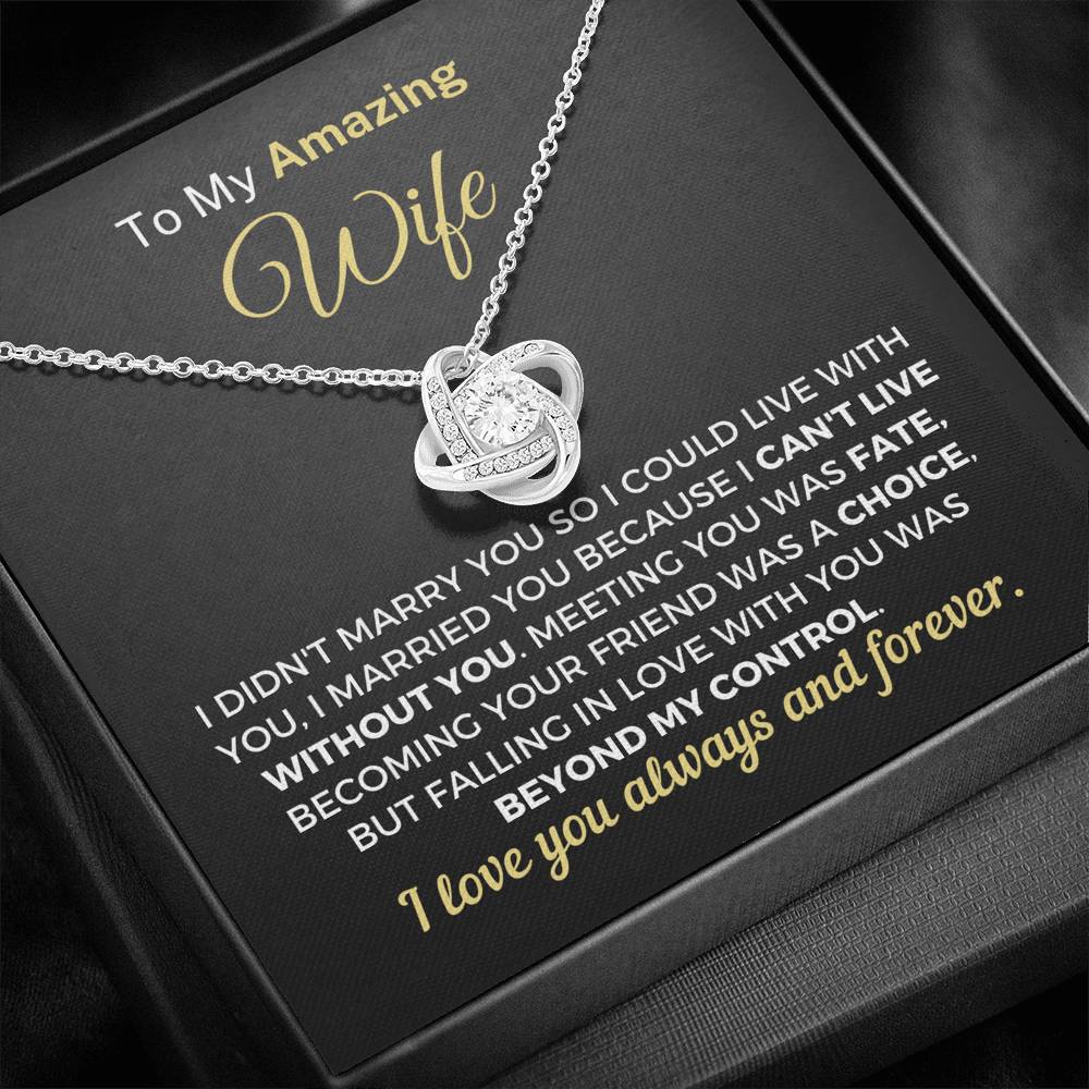 To My Amazing Wife - I Can't Live Without You Necklace Jewelry 